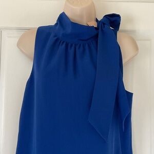 Ann Taylor size 6P Royal Bl sleeveless sheath Dress